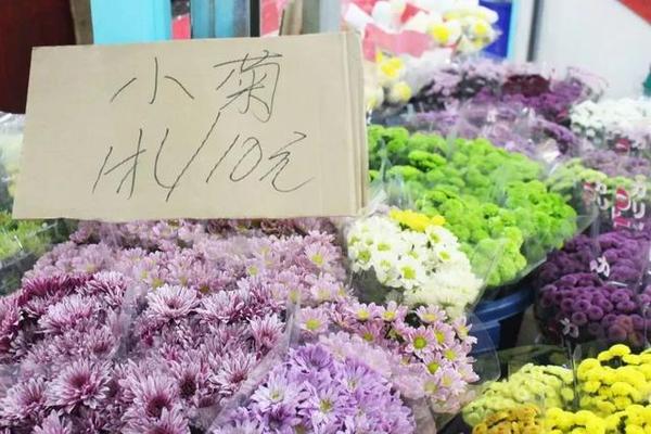 “新曹家渡花市”有着落啦！上海人再也不怕新年买不到鲜花！