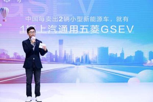 说明: 中国每卖出2辆小型新能源车，就有1辆GSEV