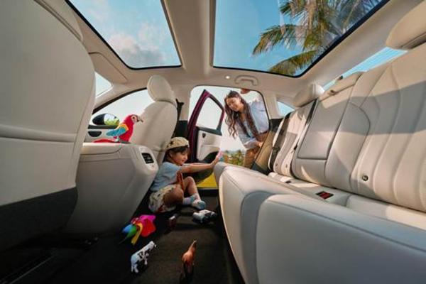 4-13极狐S31238-0422