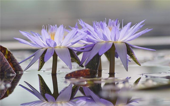 八月就没这么热了 沪上公园活动纷呈 走起！