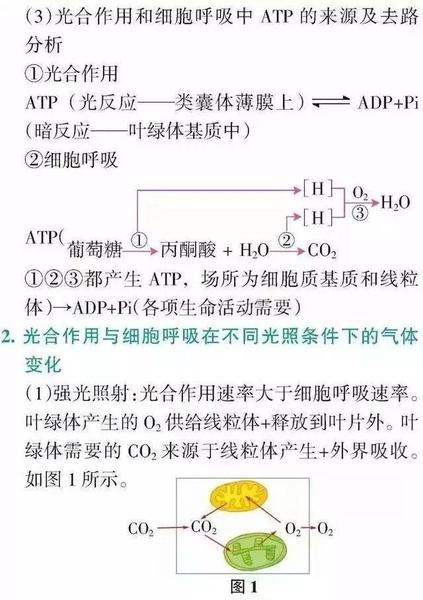 理科生最爱 搞懂这9个题型高中生物高考满分 上海热线