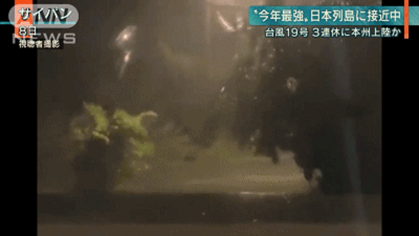 今年日本最强台风19号来了!这个周末让你知道什么叫瑟瑟发抖…