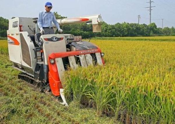 解读上海市松江区总体规划定义的新浦南地区:石湖荡镇被包括其中