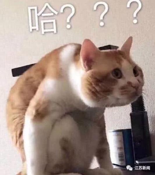 这“史诗级碰瓷”