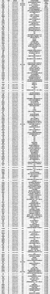 889人!沪2019公务员考试第四批拟录用名单今起公示