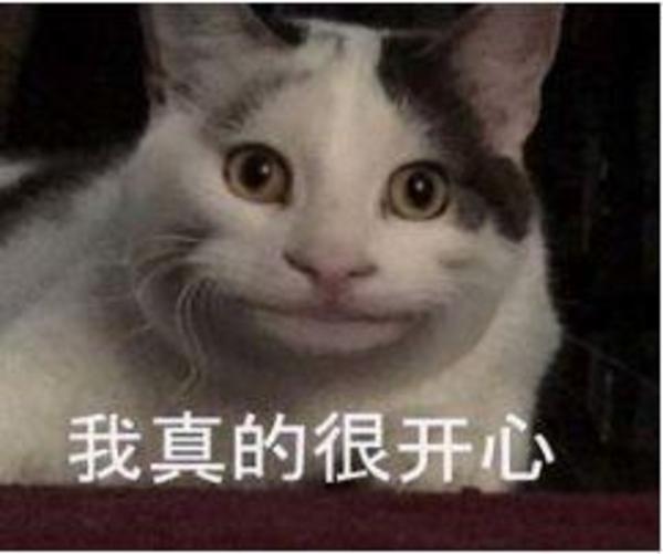 上海入伏!梅雨势力不减!未来的天气…………