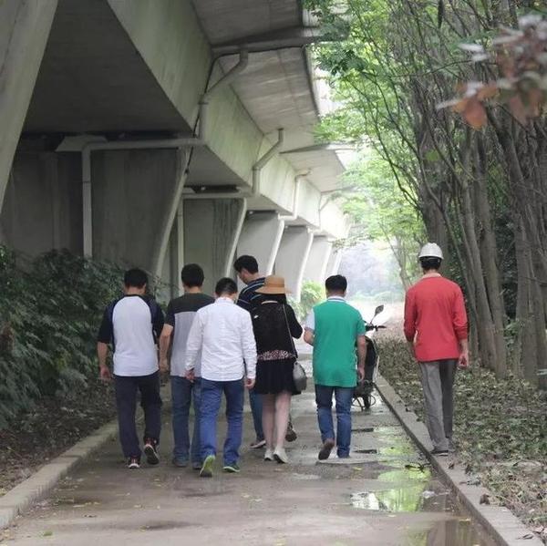 震撼你的心!闵行绿道有多少?是195公里吗?如果算上自家小区,可不止此数哟……