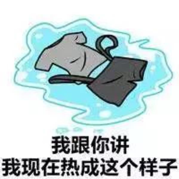 这一次,我劝你一定要来上海过回夏天…
