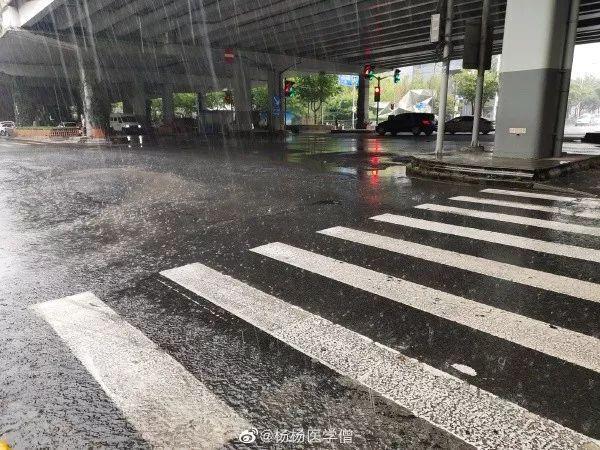 魔都突然暴雨如注预警高挂!台风后遗症?夏日经典配方本周天天见