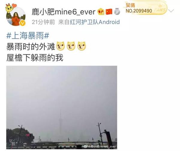 魔都突然暴雨如注预警高挂!台风后遗症?夏日经典配方本周天天见