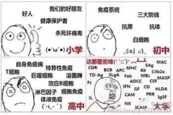原来老师才是真正的段子手!哈哈哈哈哈哈....