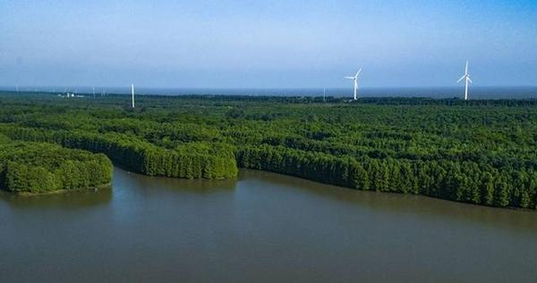 上海之鱼、十字水街、碧海金沙……航拍上海-奉贤篇来啦!