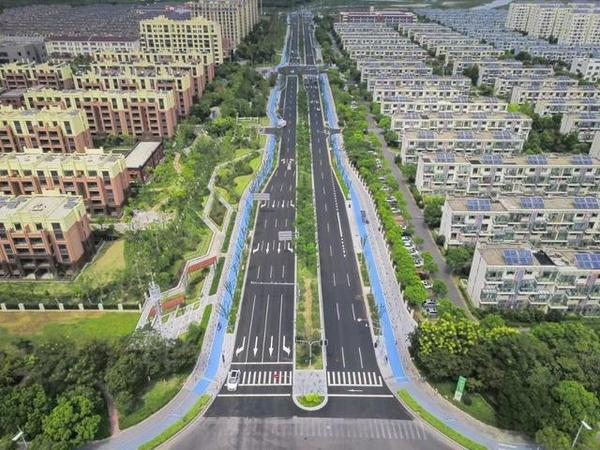 【居行】赞!临港首条景观提升示范道路“茉莉路”开通,来看→