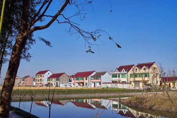 上海市奉贤区柘林镇的美丽乡村建设:城镇化无望,但有生态和旅游