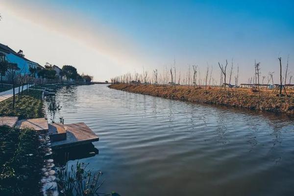 上海市奉贤区柘林镇的美丽乡村建设:城镇化无望,但有生态和旅游