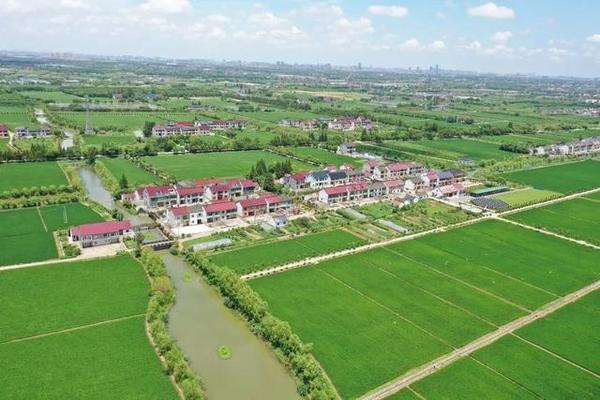 上海市奉贤区柘林镇的美丽乡村建设:城镇化无望,但有生态和旅游