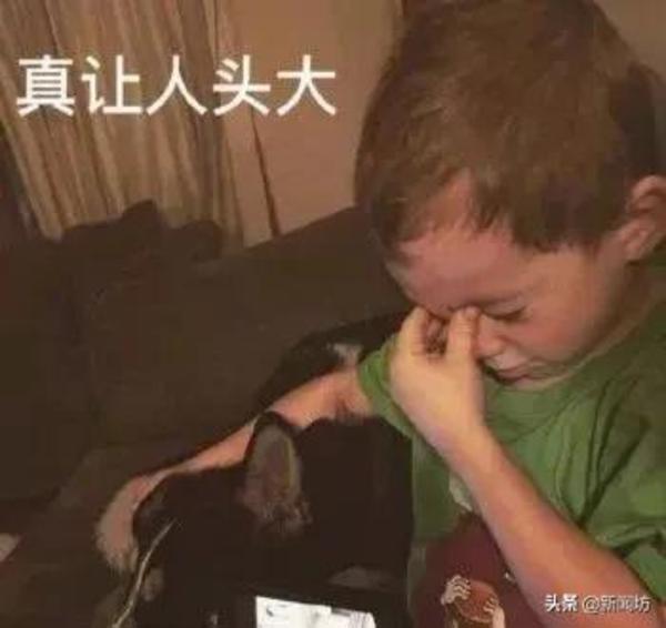 上海人看懵特!7600吨的老楼,居然长出198只“脚”跑忒了