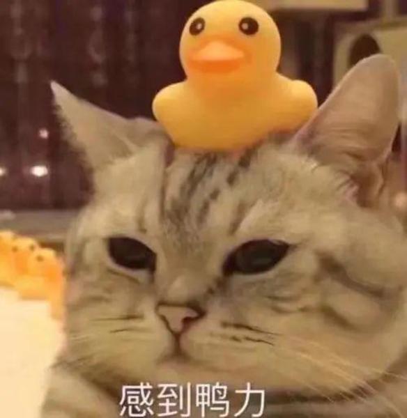 上海家长紧张了!这个区要实行