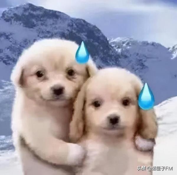 小偷哭诉杭州东西难偷,“我们太难了”