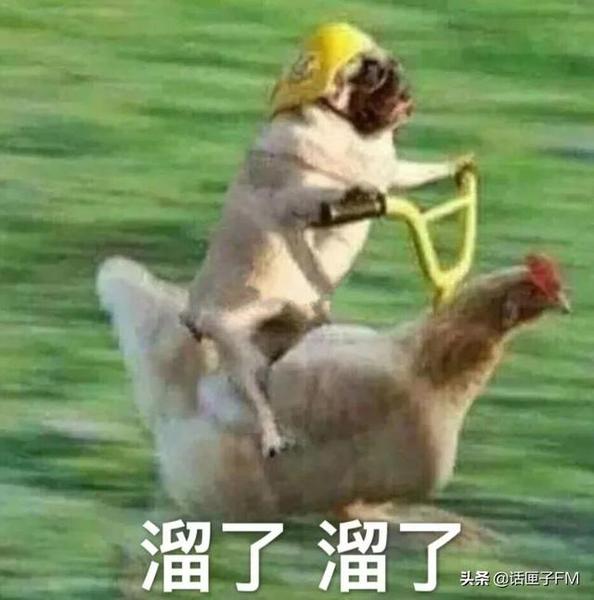 小偷哭诉杭州东西难偷,“我们太难了”