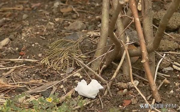 烈士故居遗址纪念碑竟设在酒店停车场,合适吗?