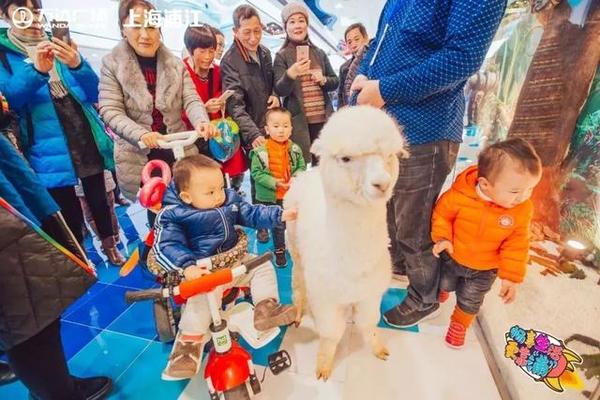 开业首日客流量达到250000 ,快来解锁闵行这家新商业体