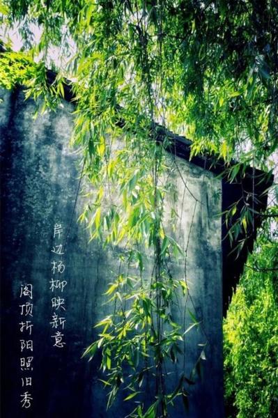 春日相约，来上海这8座古典园林！每一座都美到爆~