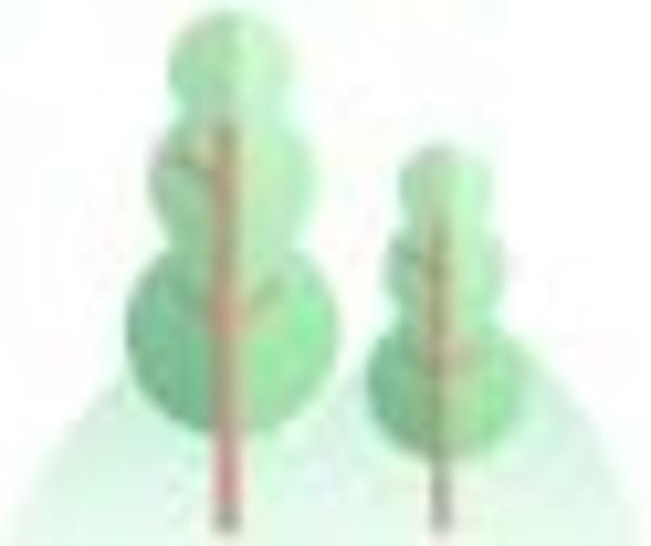 地图来啦!上海今年新增的22条林荫道正式命名(附10大林荫片区位置图)