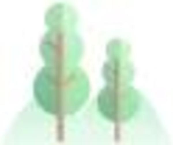 地图来啦!上海今年新增的22条林荫道正式命名(附10大林荫片区位置图)