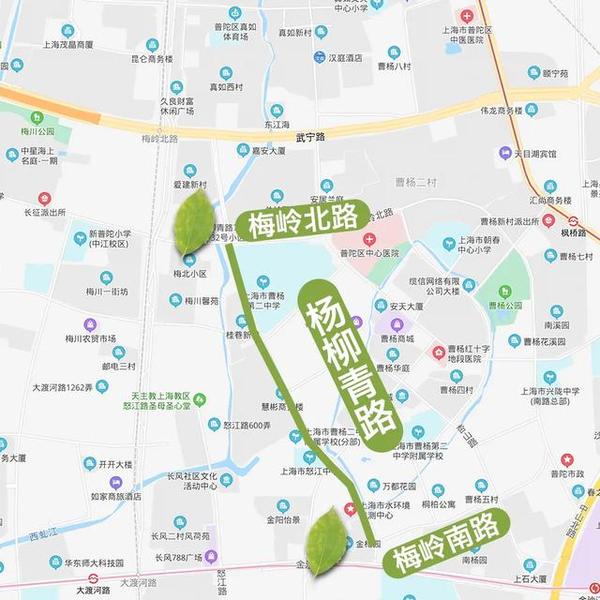 地图来啦!上海今年新增的22条林荫道正式命名(附10大林荫片区位置图)