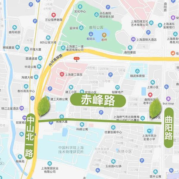 地图来啦!上海今年新增的22条林荫道正式命名(附10大林荫片区位置图)