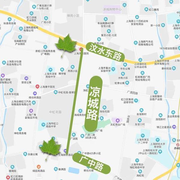 地图来啦!上海今年新增的22条林荫道正式命名(附10大林荫片区位置图)