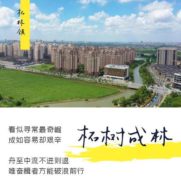 奉贤区各街镇评比:大南桥堪比上海市中心,其他各镇也是城乡结合