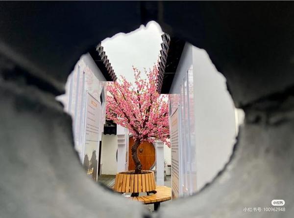 玩法‖奉贤这两条线路带你感受春光无限