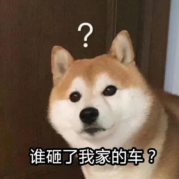 啥情况?上海一小区30楼天降钢珠!砸中9辆车,200万路虎天窗被砸碎