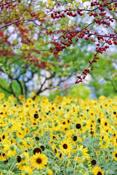 夏花盛开 来徐汇寻找名画中的风景 上海热线
