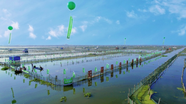 阳澄湖大闸蟹9月23日开捕 电商 本地生活和物流巨头们 花式 卖蟹送蟹 上海热线