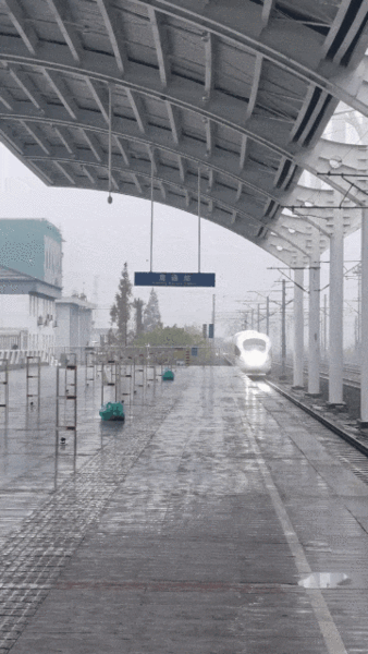 上海可坐高铁直达盐城，预计年内开通！这座神秘的东方仙鹤之都，藏不住了！