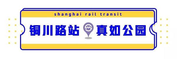 万众瞩目！上海交通又有重大进展，出行更方便！