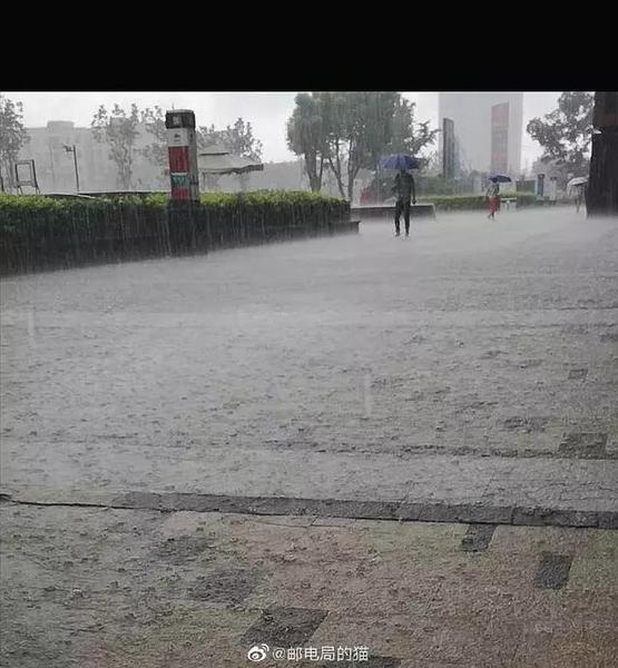 上海下的不是雨，那是瀑布呀！出门太“南”了！今天你几分湿？