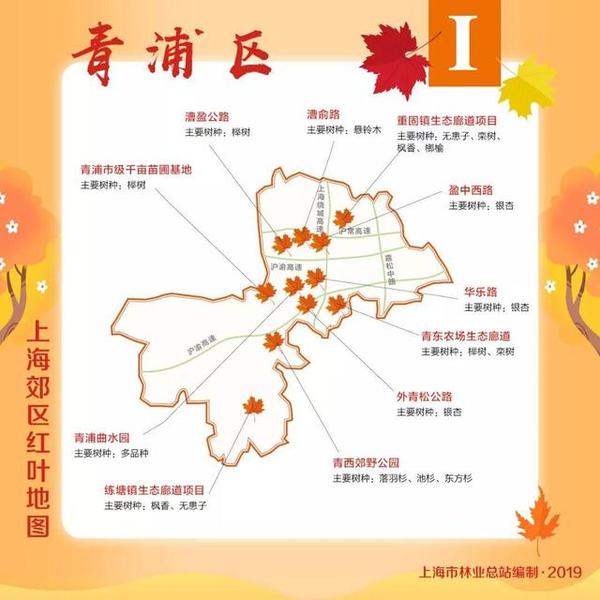 上海郊区红叶地图发布！跟着指引探寻申城的初冬之美~