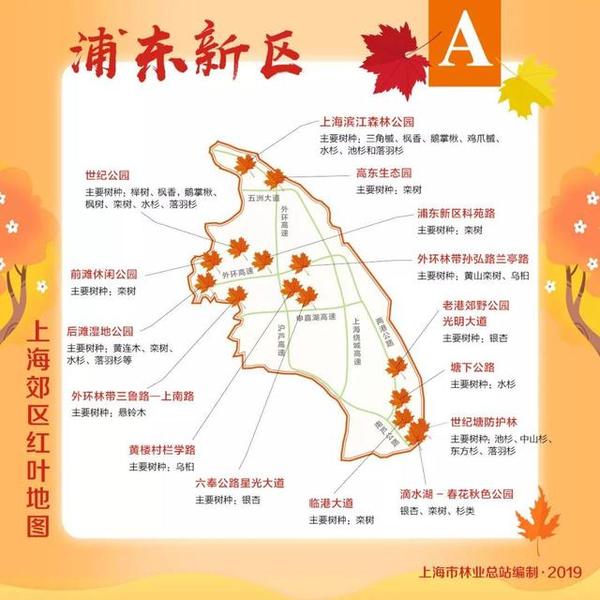 上海郊区红叶地图发布！跟着指引探寻申城的初冬之美~