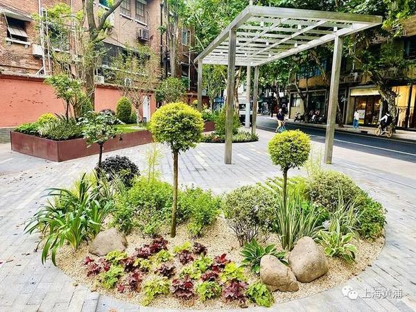 串联街道与居住区，黄浦区新增三处可阅读花园