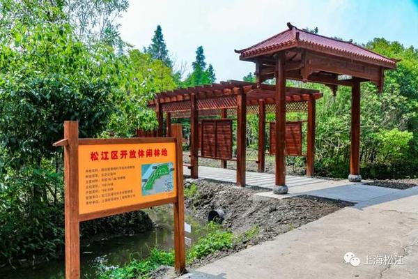 占地面积168亩！松江首个开放式休闲林地建成开放！