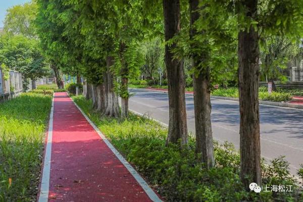 6.5公里滨水绿道、15座公园绿地……提升城市颜值，今年松江有这些动作！