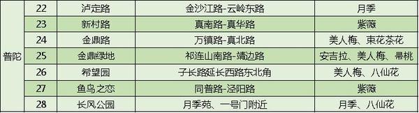 上海打造118条花道、175个主题景点！闵行这些地方入选……