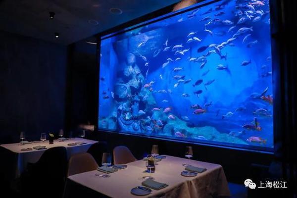 深坑酒店里的餐厅上新了，最低38元即可感受地下15层的海洋世界