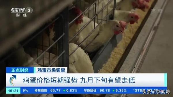 涨涨涨！上海这个农产品价格直逼肉价…最近你家买买买了吗？