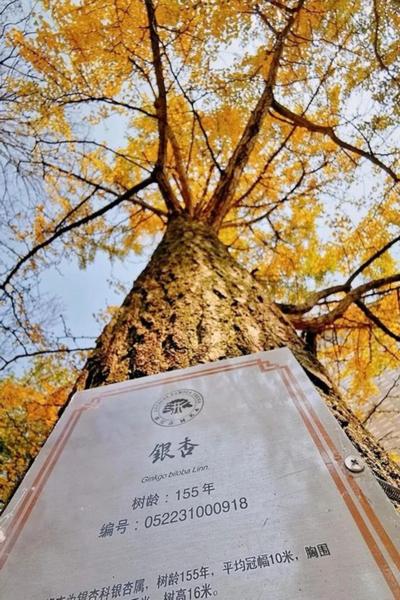 上海周边绝美赏秋地，这15处值得打卡