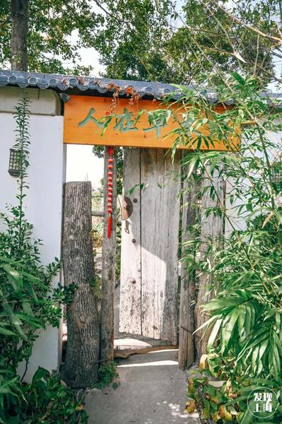 免费！好逛！上海最北端的村庄，藏着一座“世外桃源”